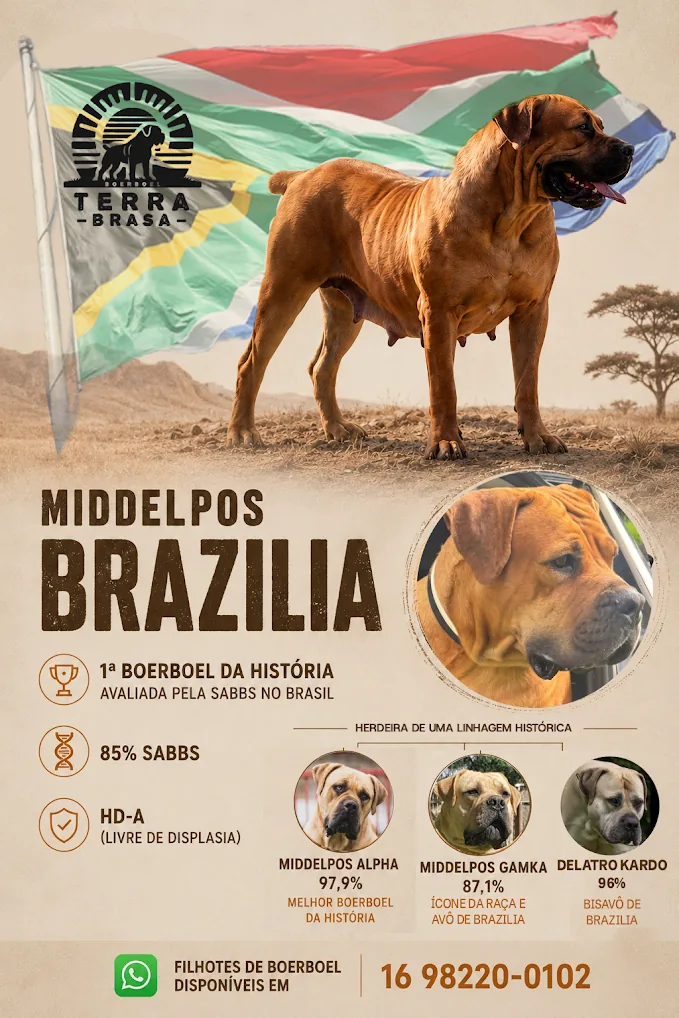 Middelpos Brazilia