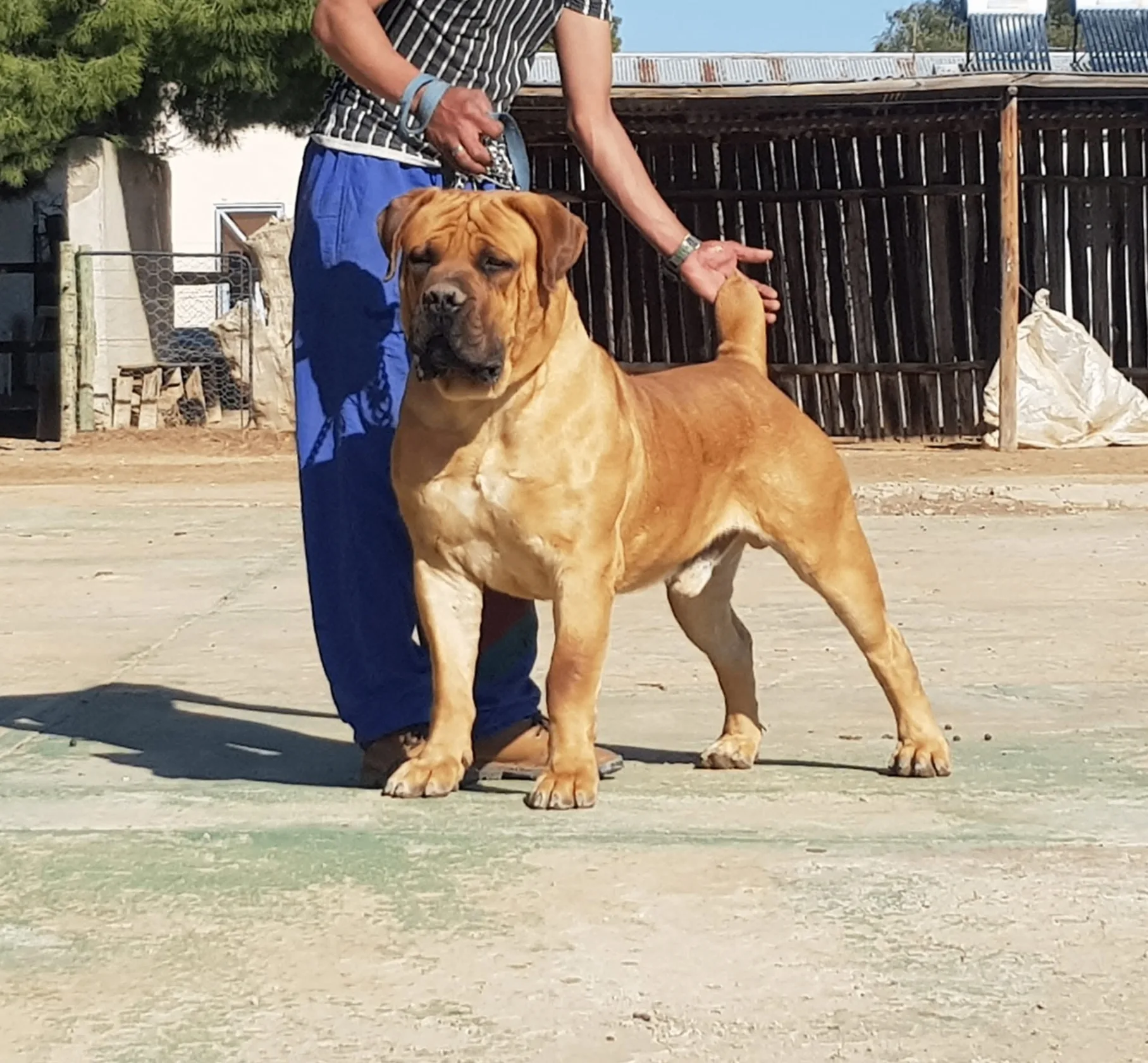Middelpos Xander I