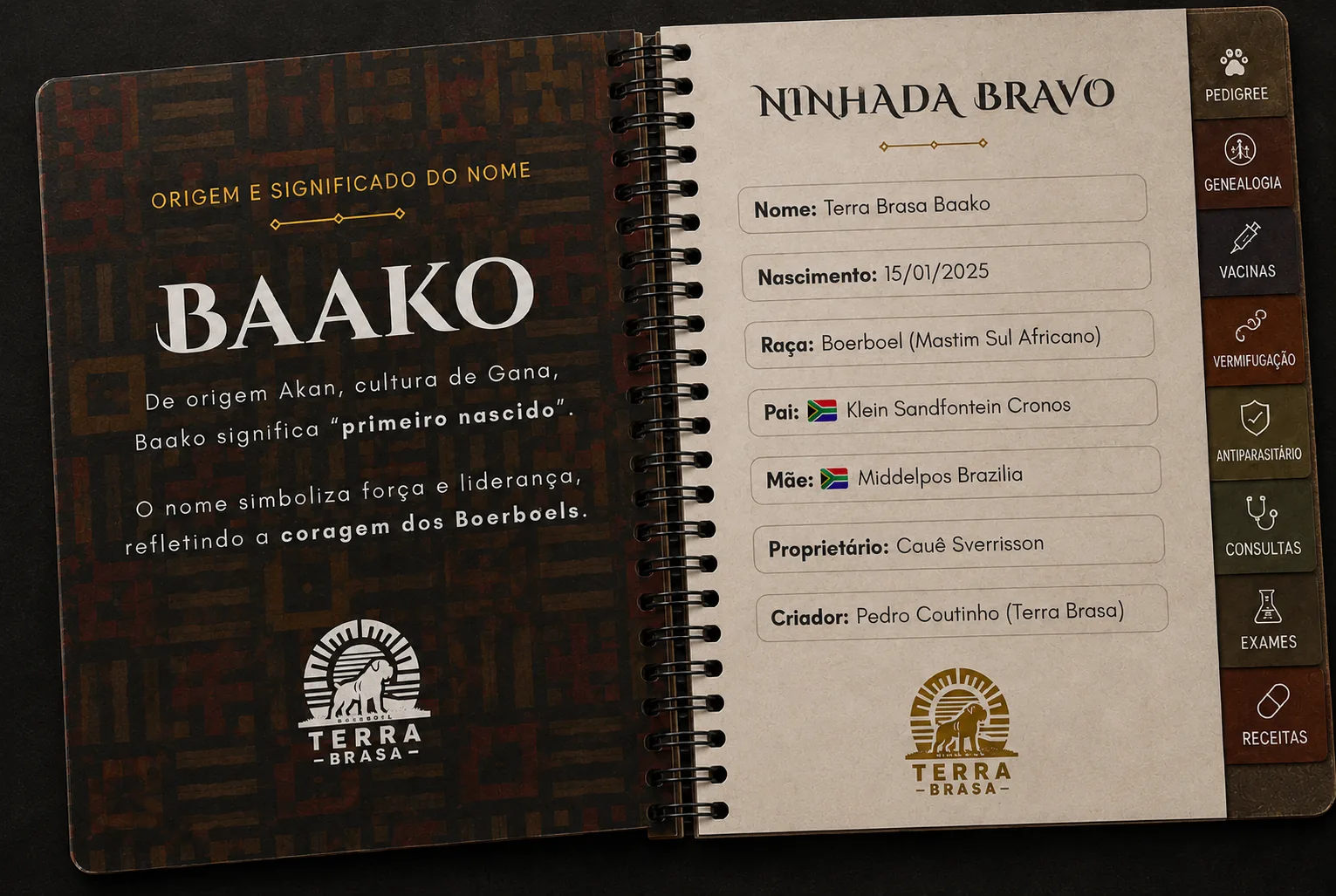 Terra Brasa Journal aberto — conteúdo exclusivo para proprietários
